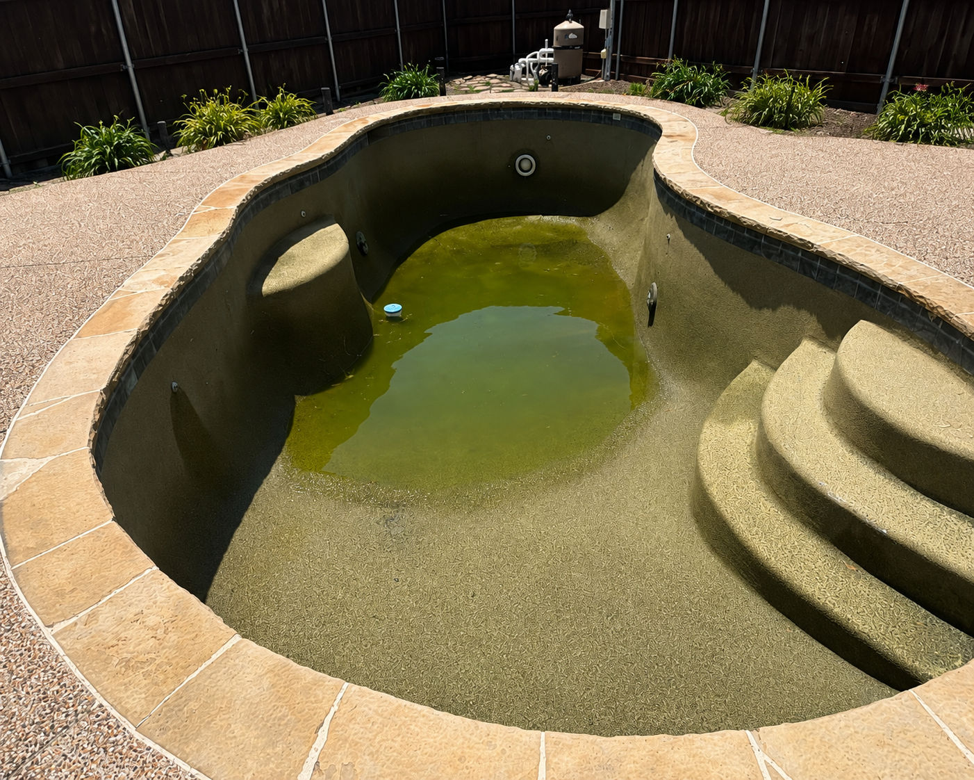Neglected pool, worn-out plaster — pool project by JB Pool Pros in Dallas–Fort Worth, TX